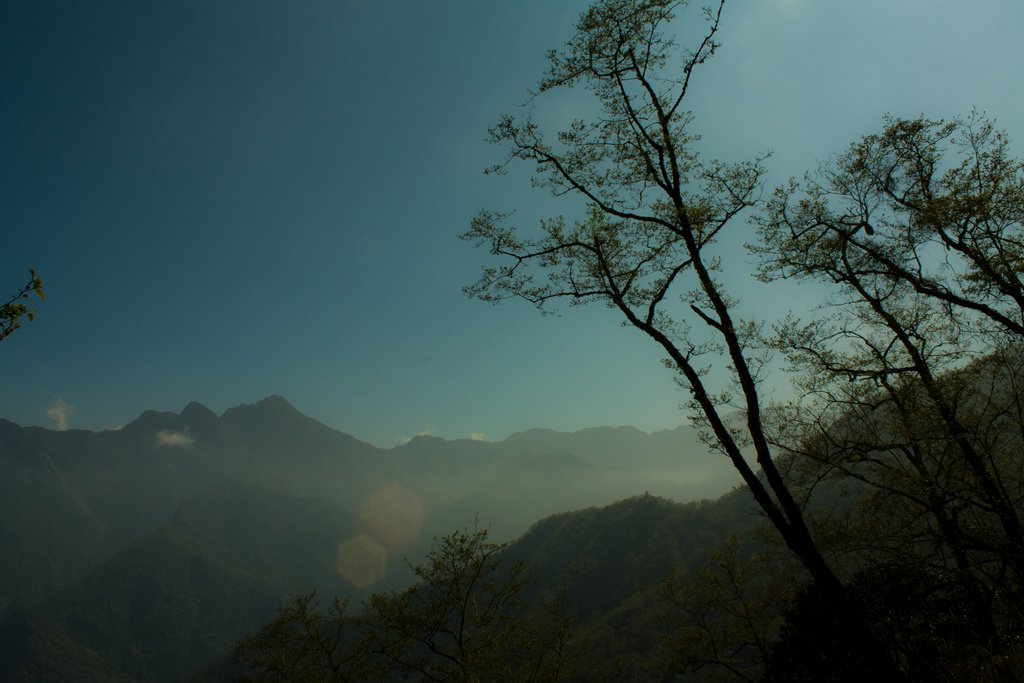 Taroko