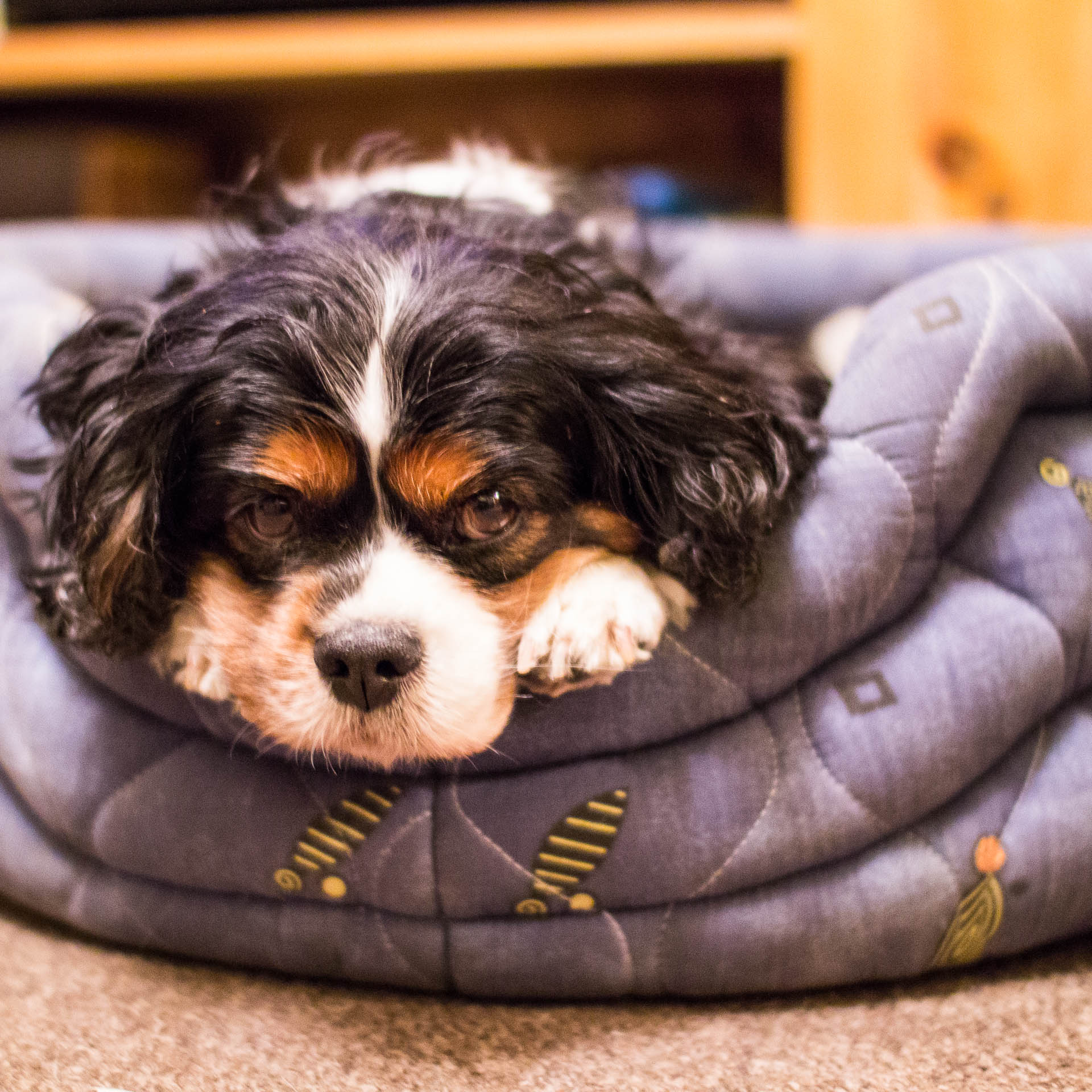 Abbi in her bed